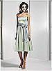 Dessy Bridesmaid Style 2506
