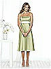 After Six Bridesmaid Style 6501