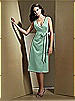 Dessy Bridesmaid Style 2716