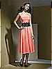 Dessy Bridesmaid Style 2717