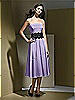 Dessy Bridesmaid Style 2717