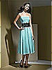 Dessy Bridesmaid Style 2717