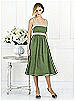 After Six Bridesmaid Style 6518