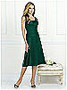 After Six Bridesmaid Style 6521