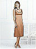 After Six Bridesmaid Style 6531