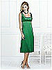 After Six Bridesmaid Style 6531