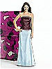 Alfred Sung Skirt B210