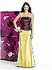 Alfred Sung Skirt B210
