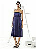 Alfred Sung Maternity Dress Style M415