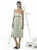 Alfred Sung Maternity Dress Style M415