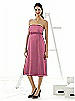 Alfred Sung Maternity Dress Style M415