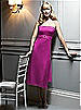 After Six Bridesmaid Style 6533