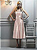 After Six Bridesmaid Style 6542