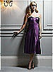 After Six Bridesmaid Style 6543