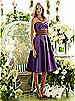 After Six Bridesmaid Style 6553