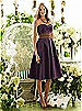 After Six Bridesmaid Style 6553