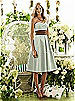 After Six Bridesmaid Style 6553
