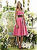 After Six Bridesmaid Style 6553