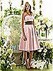 After Six Bridesmaid Style 6553