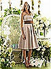 After Six Bridesmaid Style 6553