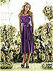After Six Bridesmaid Style 6559