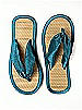 Iridescent Taffeta Flip Flops