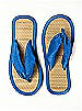 Iridescent Taffeta Flip Flops