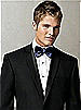 Iridescent Taffeta Bow Tie