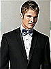 Iridescent Taffeta Bow Tie