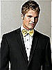 Iridescent Taffeta Bow Tie