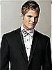 Iridescent Taffeta Bow Tie