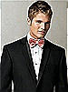Taffeta Bow Tie
