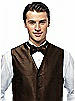 Silk Shantung Bow Tie