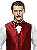 Silk Shantung Bow Tie