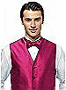 Silk Shantung Bow Tie