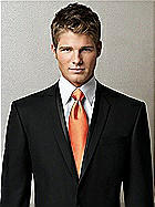 Iridescent Taffeta Neck Tie