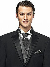 Iridescent Taffeta Cravat