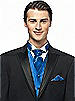 Iridescent Taffeta Cravat