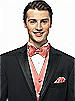 Bella Satin Pocket Square