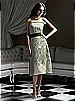Dessy Bridesmaid Style 2752IV