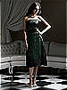 Dessy Bridesmaid Style 2752BL