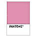 PANTONE WEDDING Swatch Cards