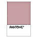 PANTONE WEDDING Swatch Cards