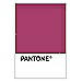 PANTONE WEDDING Swatch Cards