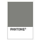 PANTONE WEDDING Swatch Cards
