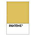 PANTONE WEDDING Swatch Cards