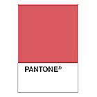PANTONE WEDDING Swatch Cards