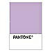 PANTONE WEDDING Swatch Cards