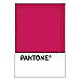 PANTONE WEDDING Swatch Cards
