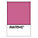 PANTONE WEDDING Swatch Cards